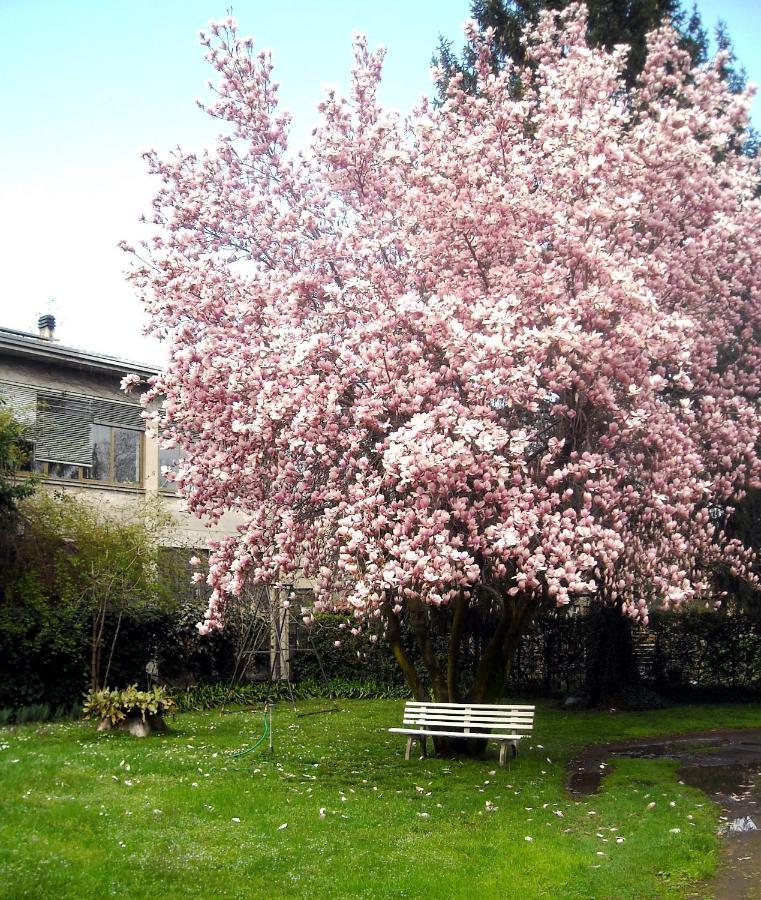 Sentirsi A Casa, Lontano Da Casa-Feel At Home Away From Home Caronno Pertusella エクステリア 写真